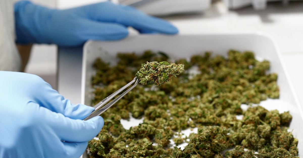 Fortune or forfeiture: real estate lending in the cannabis space