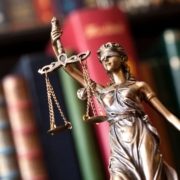 Law Experience